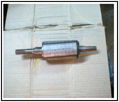 Rotor of BLDC with sleeve